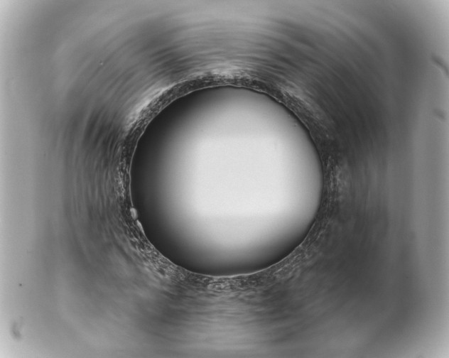 X0000100910776200807011243