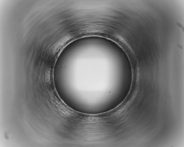 X0000100910777200807011243