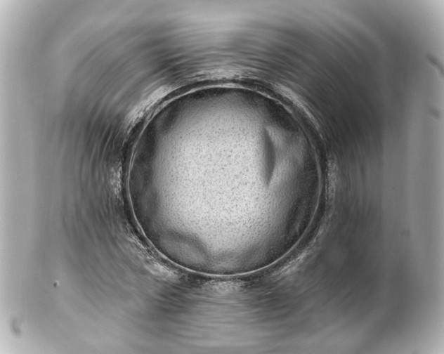 X0000100910778200807011243