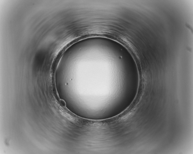 X0000100910779200807011243