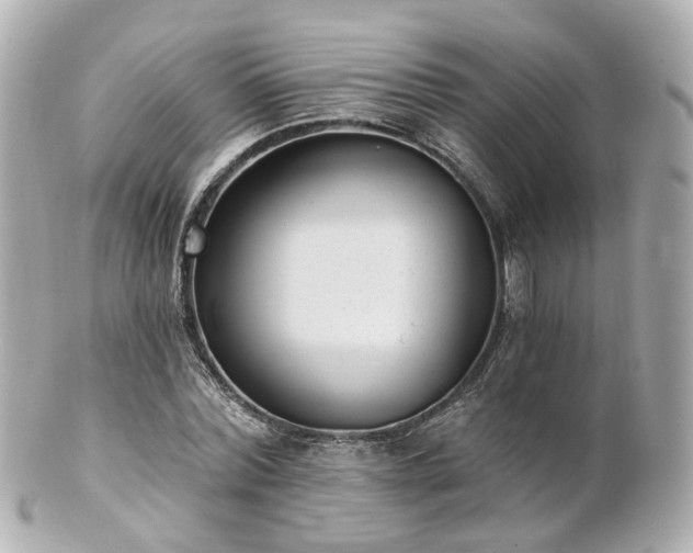 X0000100910780200807011243