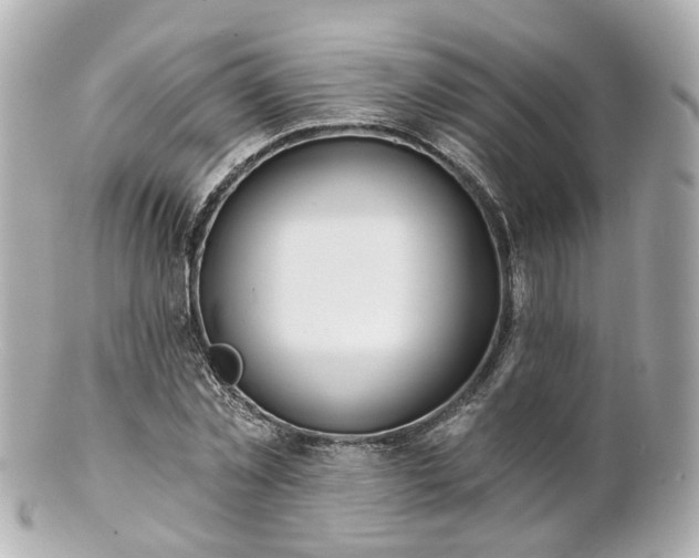 X0000100910781200807011243