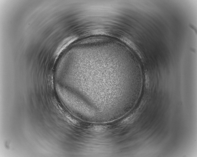 X0000100910782200807011243