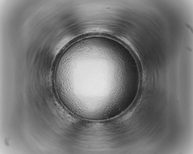 X0000100910783200807011243