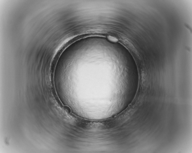 X0000100910784200807011243