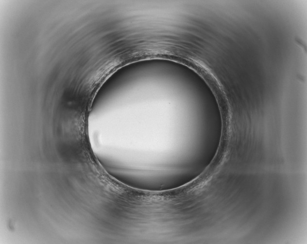 X0000100910785200807011243