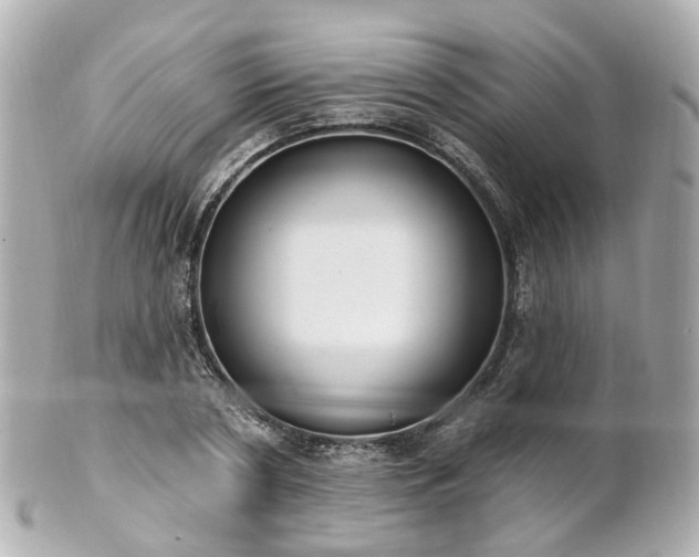 X0000100910786200807011243