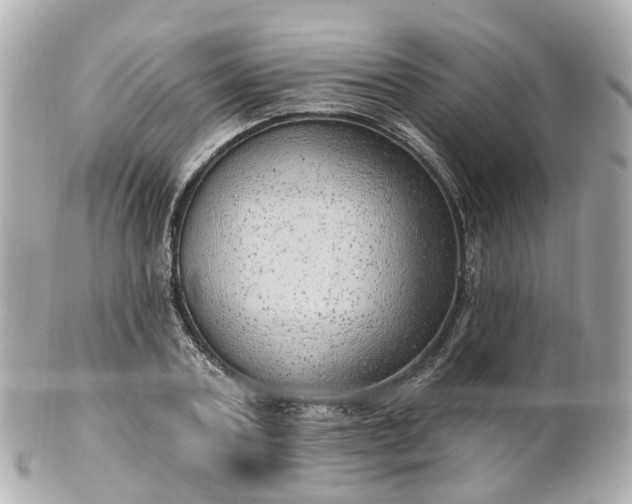 X0000100910787200807011242