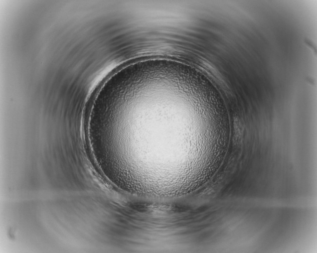 X0000100910788200807011242