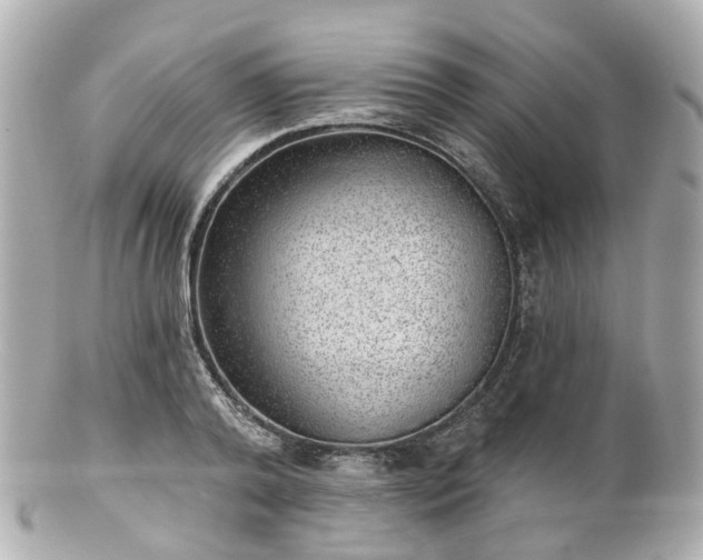 X0000100910792200807011242