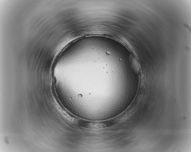 X0000100910795200807011242