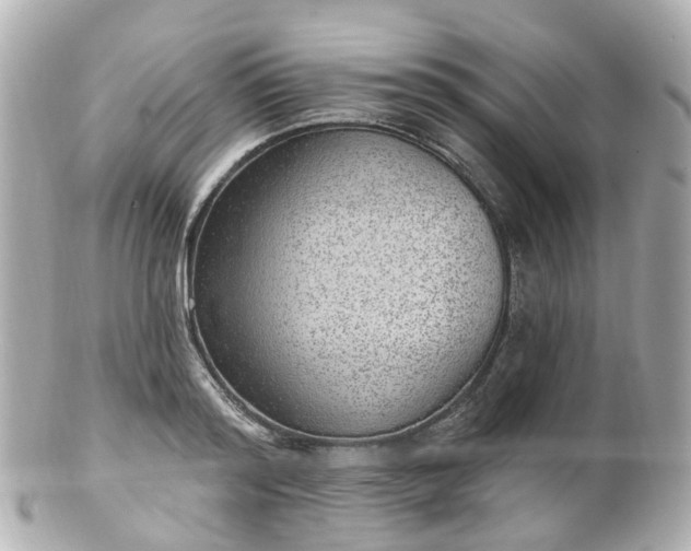 X0000100910796200807011242