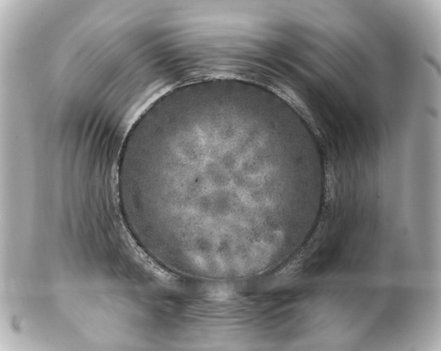 X0000100910798200807011242