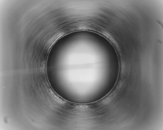 X0000100910801200807011242