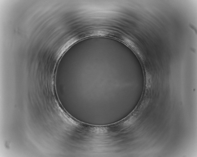 X0000100910802200807011242