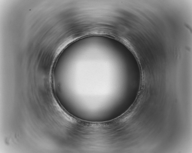 X0000100910803200807011242