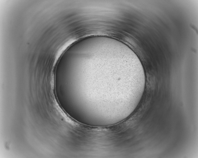 X0000100910804200807011242