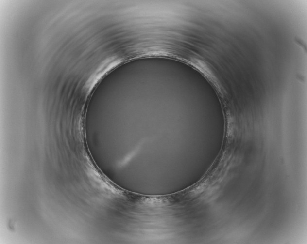 X0000100910806200807011242