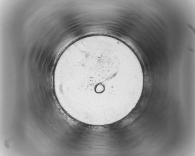 X0000100910807200807011242