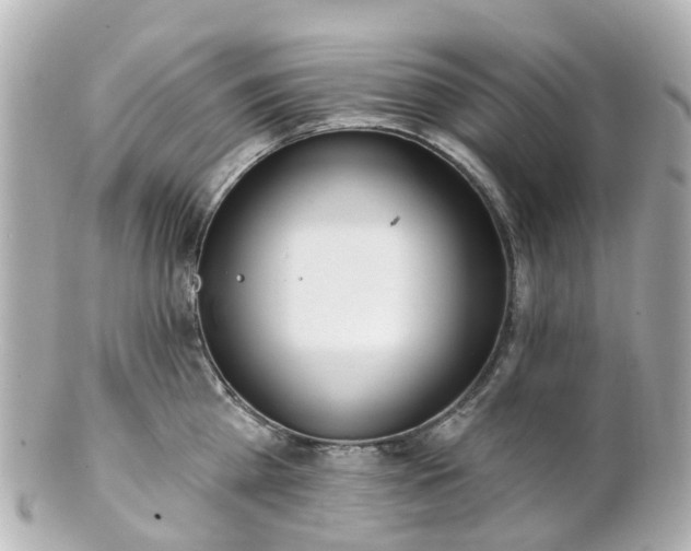X0000100910809200807011242