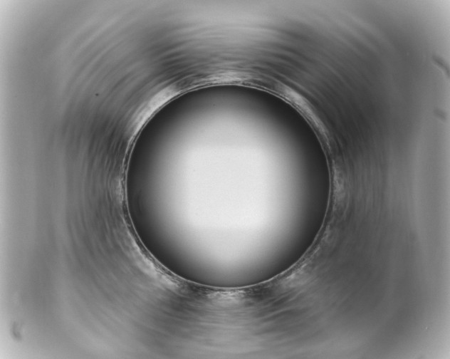 X0000100910810200807011242