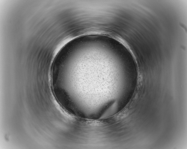 X0000100910811200807011242
