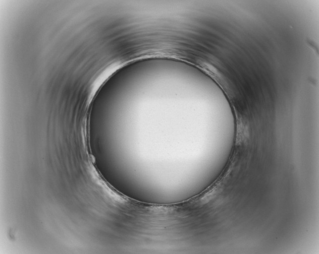 X0000100910812200807011242