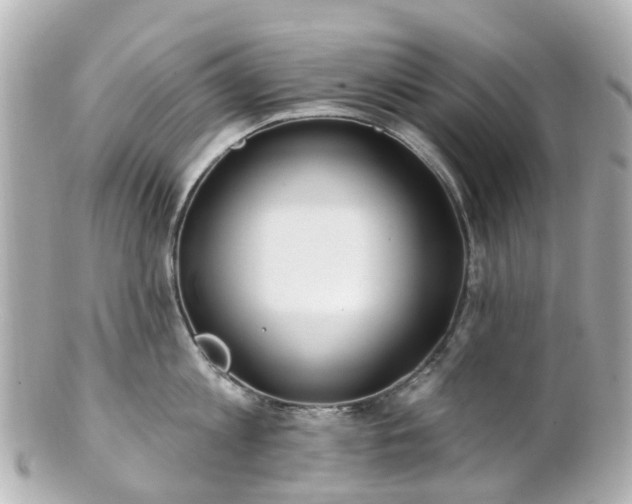 X0000100910813200807011242