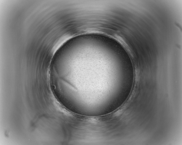 X0000100910814200807011242