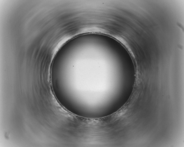 X0000100910815200807011242