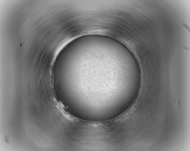 X0000100910816200807011242