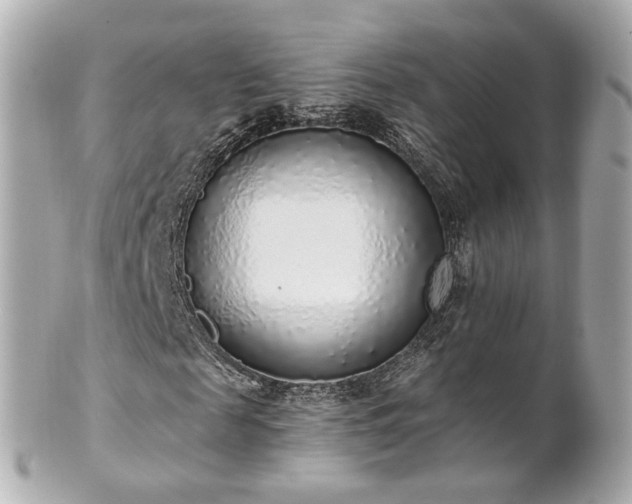 X0000100910817200807011241
