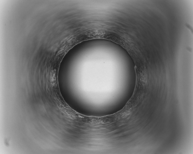 X0000100910818200807011241