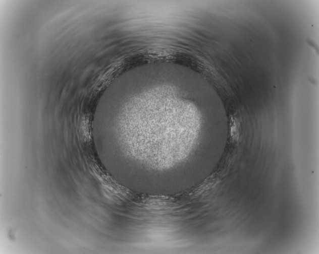 X0000100910819200807011241