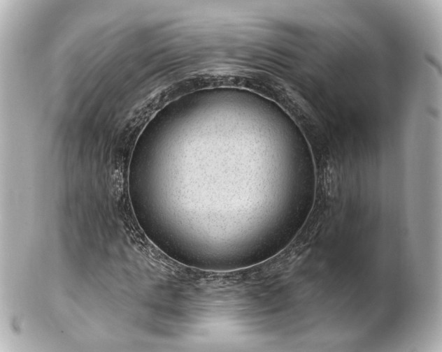 X0000100910821200807011241