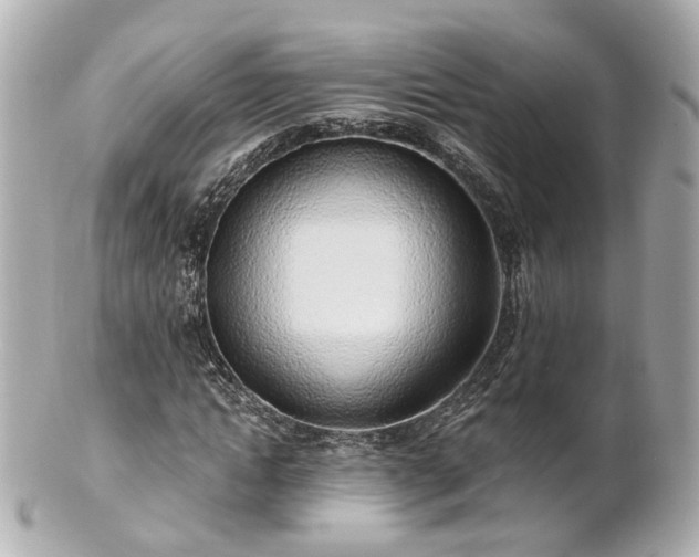 X0000100910822200807011241