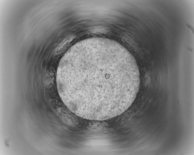 X0000100910824200807011241