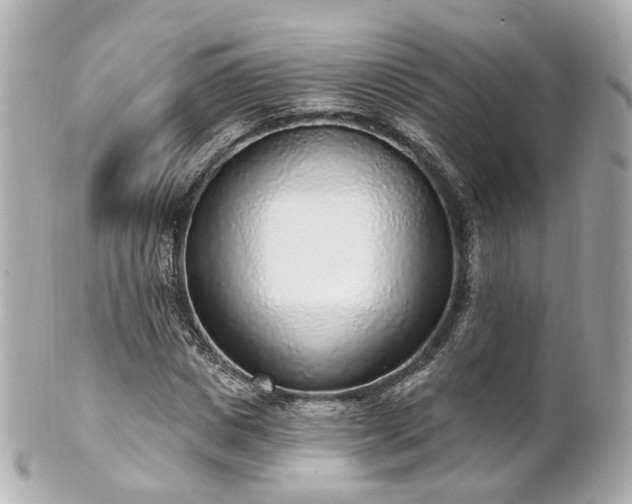 X0000100910825200807011241