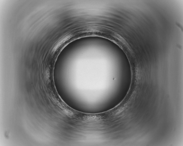 X0000100910826200807011241