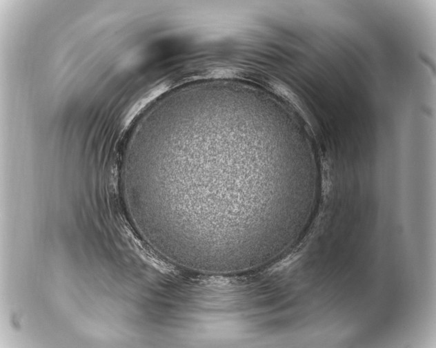 X0000100910827200807011241