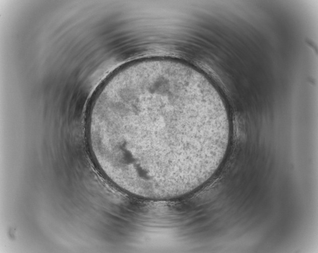 X0000100910828200807011241