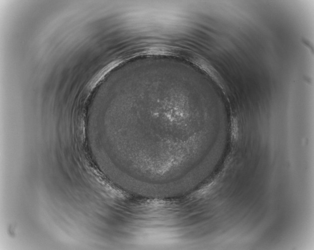 X0000100910829200807011241