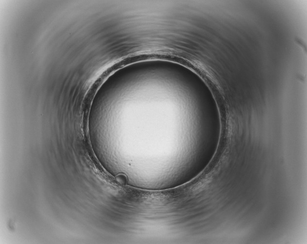 X0000100910830200807011241