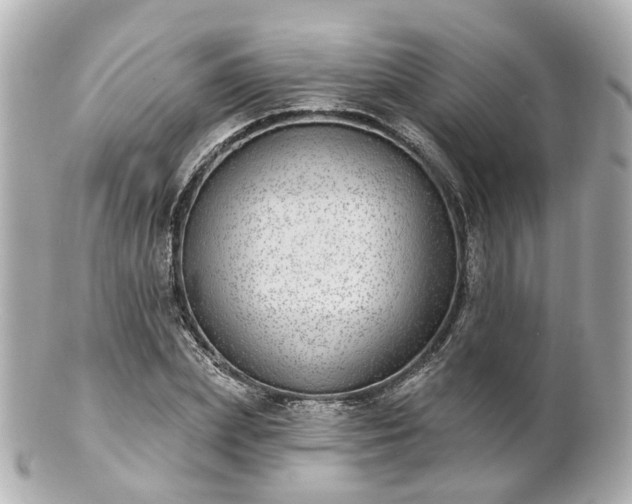 X0000100910831200807011241