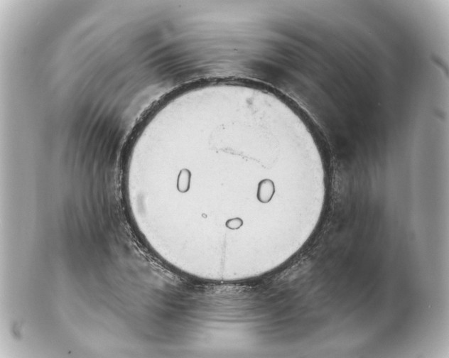 X0000100910832200807011241