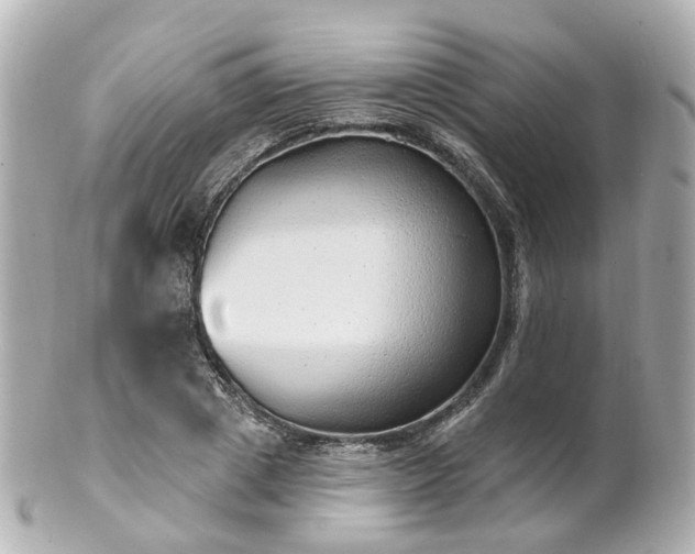 X0000100910833200807011241