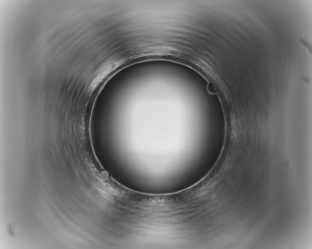 X0000100910834200807011241