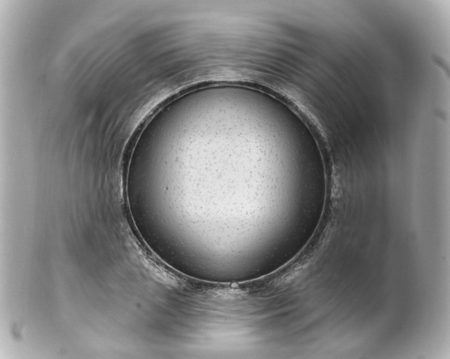 X0000100910837200807011241