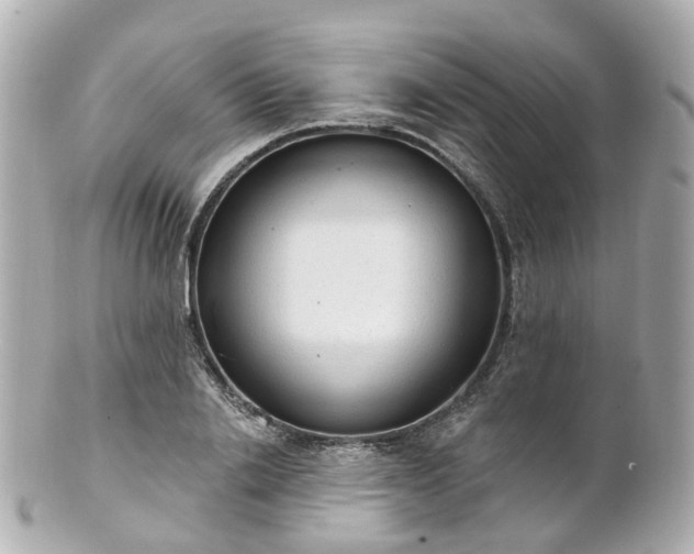 X0000100910838200807011241