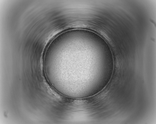 X0000100910840200807011241